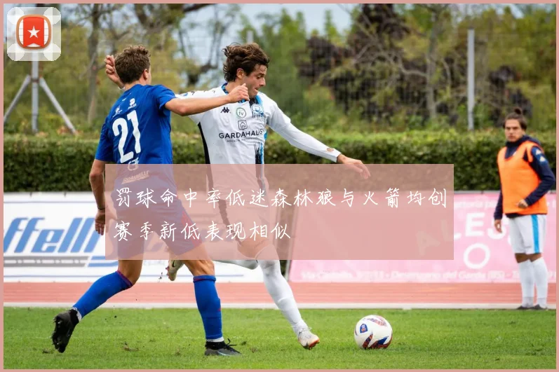 罚球命中率低迷森林狼与火箭均创赛季新低表现相似