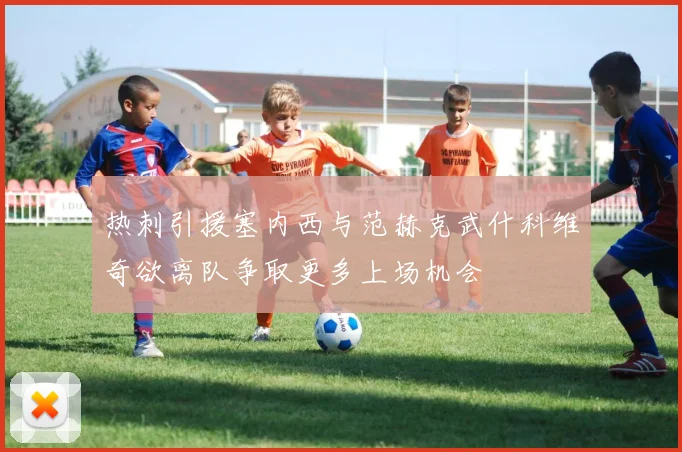 热刺引援塞内西与范赫克武什科维奇欲离队争取更多上场机会