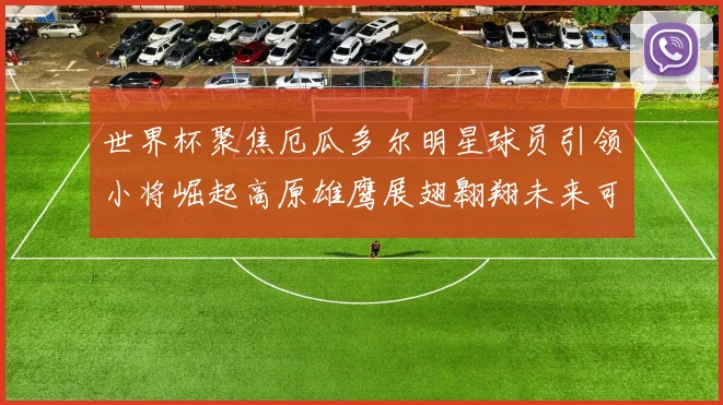 世界杯聚焦厄瓜多尔明星球员引领小将崛起高原雄鹰展翅翱翔未来可期