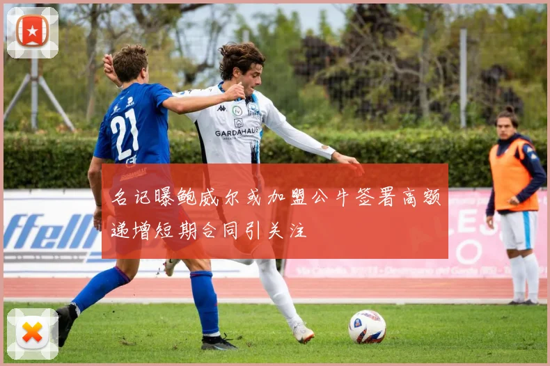 名记曝鲍威尔或加盟公牛签署高额递增短期合同引关注